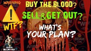 You need a Strategy to save your Crypto Account! - I'm Bullish as F#CK - Time to buy Altcoins?