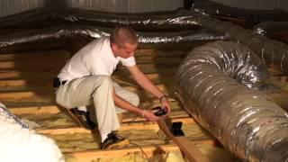 How To Get Rid Of Rodents In The Attic Pest Products Online