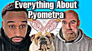 Pyometra, Everything you need to know! (The Dog Breeding Chronicles Pawdcast Episode 3)”