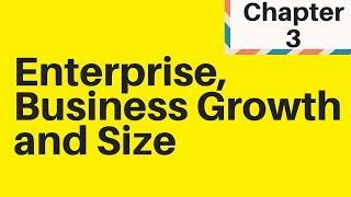 1.3 Enterprise, Business Growth and Size - IGCSE Business Studies