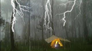 SOLO CAMPING IN HEAVY RAIN, THUNDERSTORMS AND FOG, THE SOUND OF RAIN AND NATURE RELAXING, ASMR