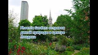 Островок дикой природы в центре Лондона: садик Phoenix Garden вместо парковки