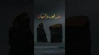 #قرآن #تلاوت #Quran #المنشاوي