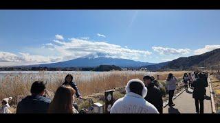 Yamanashi, Mt. Fuji, Hoshinoya Resort