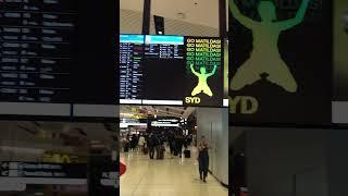 Sydney International Terminal #shorts #tamil