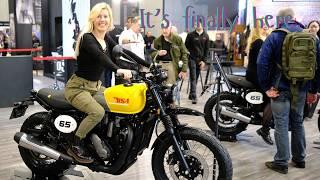 BSA B65 Scrambler 2025 ‖ FIRST LOOK Walkaround