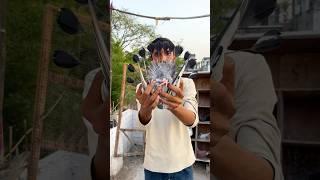 Video of pigeon ️ #pigeon #shorts