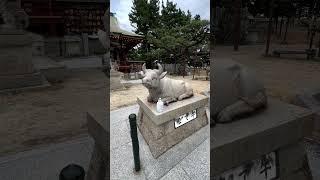 Hamamiya Tenjin Shrine　#shorts  #japan #shrine #temple