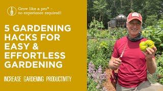 My Five Favorite Gardening Hacks to Increase Productivity in the Garden