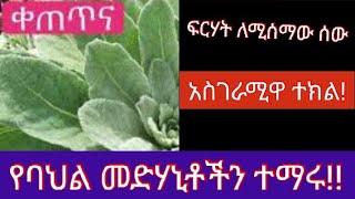 ፍርሃት ለሚሰማው! ድንቅ ተክል!!