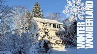 A winter garden stroll in a snowy landscape