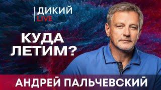 Когда сдуваются мечты, или Это даже не смешно! Андрей Пальчевский. Дикий LIVE.