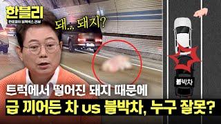 [한블리] [안전거리의 중요성] 굴러떨어진 돼지 피하려다 쾅 과실은? | 한블리 (한문철의 블랙박스 리뷰) 109회 | JTBC 241224 방송