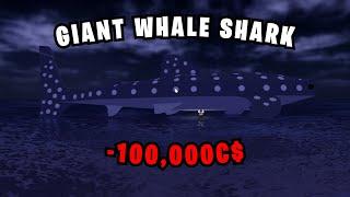 GIANT WHALE SHARK APPRAISALS! | FISCH