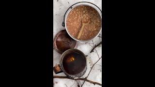 Breakfast in a wet Winter Forest