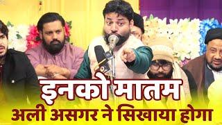 Matam | मातम के हवाले से ज़बरदस्त कलाम | Maulana Sharar Naqvi | मातम क्या है | Ali Day | 13 Rajab