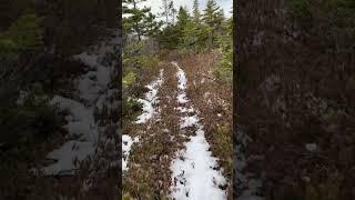 Walking the rabbit snare line. #hunting #nature #outdoors