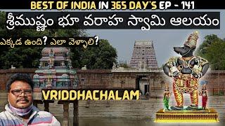 Srimushnam Bhu Varaha Swamy temple | Swayam vyakta kshetras | Srimushnam temple history | Tamilnadu