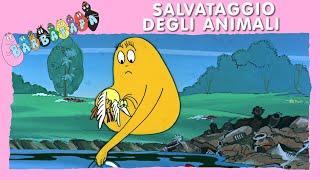 Barbapapà EP31: Salvataggio degli animali - EPISODIO COMPLETO (italiano)