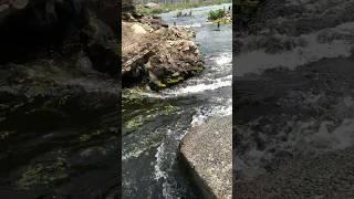 Raatmohona #ghatshilatour #shorts #shortvideo