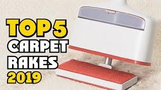 Best Carpet Rakes of 2024 | Carpet Rakes Buying Guide