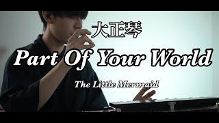 【Part Of Your World】大正琴/Taisho-koto／Japanese traditional instruments