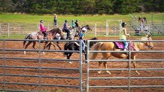 Fall Horse Fun Show