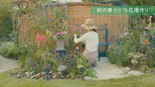 Autumn gardening | Creating cute flower beds with autumn plants |