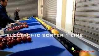 Γραμμή διαλογής-ταξινόμησης μήλων. Sorting-grading-packaging lines for apples.