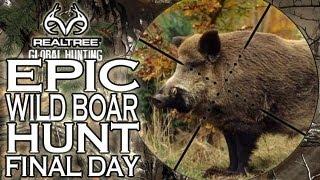 EPIC Wild Boar Hunting in Czech Republic - Final Day!