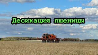 Десикация пшеницы! Jacto Uniport 4530
