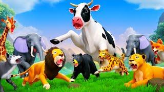 Giant Cow Saves the Day: Heroic Rescue of Jungle Animals from Tiger & Lion Attack!