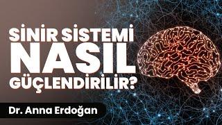 Sinir Sistemi Nasıl Güçlenir | Kişisel Gelişim Videoları