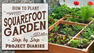  How to: Plant Square Foot Gardening (A Complete Step by Step Guide)