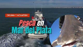 Pesca en Mar del Plata con Okuma y Aquafish