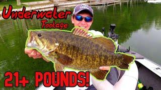 Burt and Mullet BIG SMALLMOUTH (INSANE UNDERWATER Bed-fishing Footage)