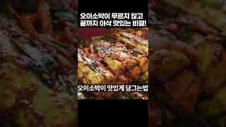 끝까지 아삭 무르지 않는 오이소박이 맛있게 담그는법 절이는법 양념 비법까지 싹! 오이소박이 황금레시피