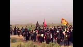 #arbaeen #karbala #arbaeen2019  Najaf to karbala arbaeen video 2019_2020 walk to arbaeen karbala