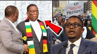 BreakingZanu-PF Mnangagwa panic after G40 Cabal member Mzembi suggest plans for future government