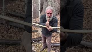 Primitive Bow