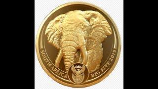 2019 South Africa Big Five Elephant 50 Rand - 1 OZ Gold Proof Coin-(Spectacular)