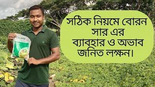 গাছে বোরন সার প্রয়োগ পদ্ধতি।বোরন এর অভাব জনিত কারণ ও লক্ষন।Application of boron fertilizer।