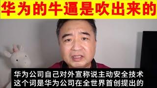 翟山鹰：为什么说华为的牛逼是吹出来的丨遥遥领先丨三折叠屏