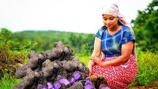 Purple Yam Recipes! That Will Wow Your Taste Buds Creative Purple Yam Dishes to Try Dandila Ala Ube