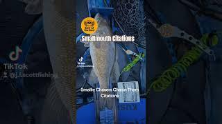 Smallmouth Bass Fishing Citations River Fishing #bassfishing #smallmouth #fishing #fishingvideo