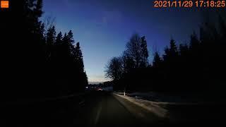 Elk encounter in Småland, Sweden