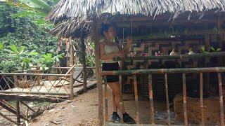 Girl use bamboo tube as tray to grow vegetables, onions, and garlic - Techniques growing vegetables