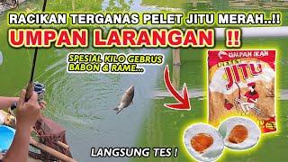 KEGANASAN PELET JITU !! RESEP UMPAN IKAN MAS KILO GEBRUS DADAKAN SIMPEL TAPI JAHAT