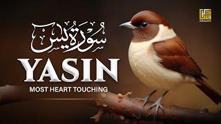 Surah Yasin (Yaseen) سورة يس | Heart touching marvelous beautiful voice | Zikrullah TV