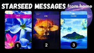 "STARSEED" Messages From Home (for angels & starseeds on earth) ⭐️🪽